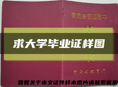 求大学毕业证样图缩略图