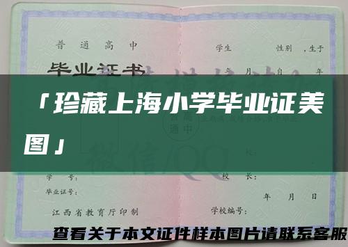 「珍藏上海小学毕业证美图」缩略图