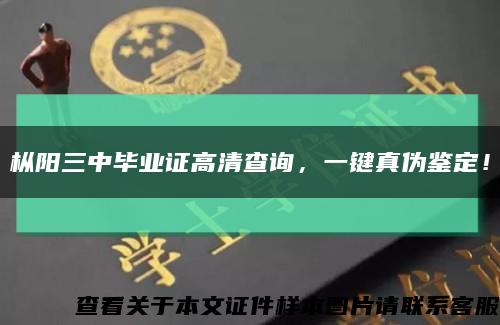 枞阳三中毕业证高清查询，一键真伪鉴定！缩略图