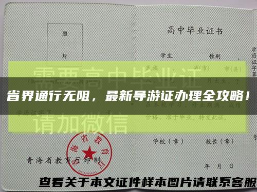 省界通行无阻，最新导游证办理全攻略！缩略图