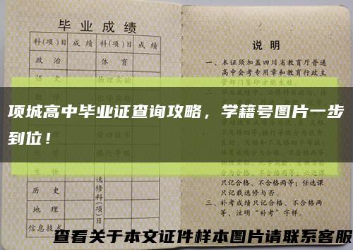 项城高中毕业证查询攻略，学籍号图片一步到位！缩略图