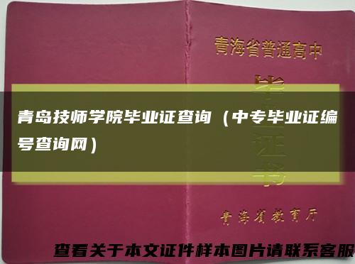 青岛技师学院毕业证查询（中专毕业证编号查询网）缩略图