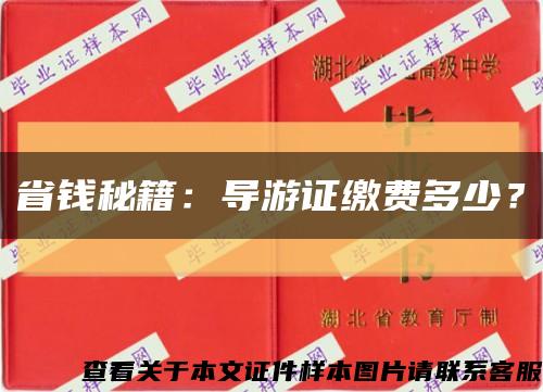 省钱秘籍：导游证缴费多少？缩略图