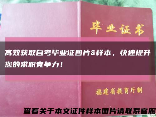 高效获取自考毕业证图片&样本，快速提升您的求职竞争力！缩略图