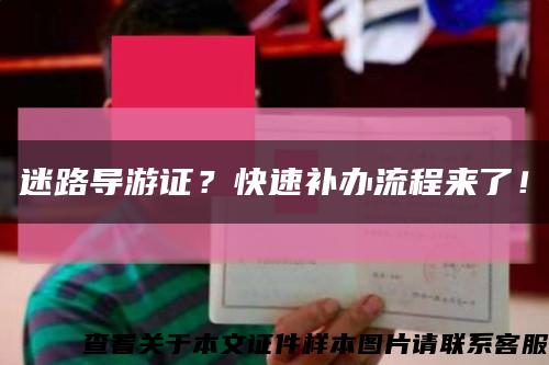 迷路导游证？快速补办流程来了！缩略图