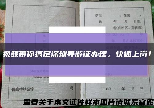 视频带你搞定深圳导游证办理，快速上岗！缩略图