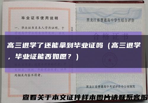 高三退学了还能拿到毕业证吗（高三退学，毕业证能否如愿？）缩略图