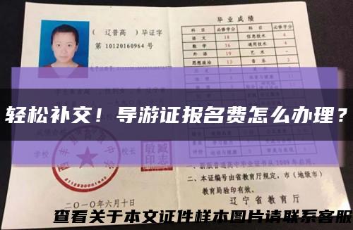 轻松补交！导游证报名费怎么办理？缩略图