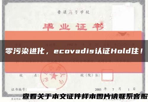 零污染进化，ecovadis认证Hold住！缩略图