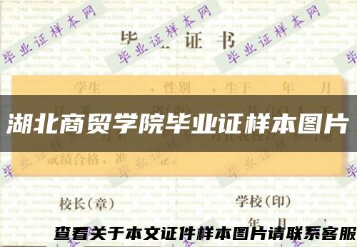 湖北商贸学院毕业证样本图片缩略图