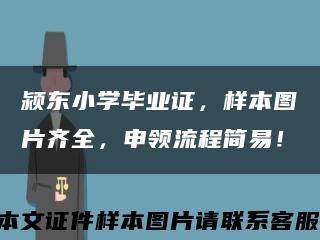 颍东小学毕业证，样本图片齐全，申领流程简易！缩略图