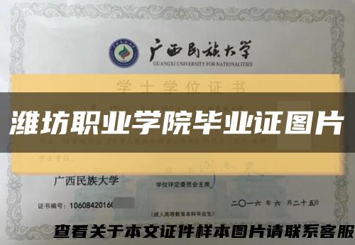 潍坊职业学院毕业证图片缩略图