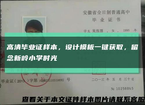 高清毕业证样本，设计模板一键获取，留念新岭小学时光缩略图