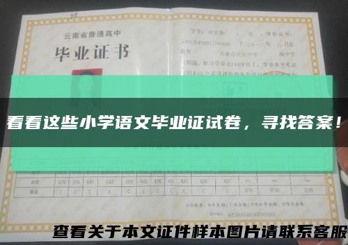 看看这些小学语文毕业证试卷，寻找答案！缩略图