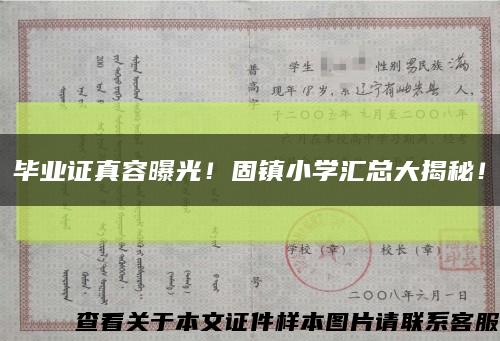 毕业证真容曝光！固镇小学汇总大揭秘！缩略图