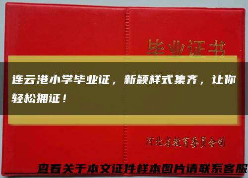 连云港小学毕业证，新颖样式集齐，让你轻松拥证！缩略图