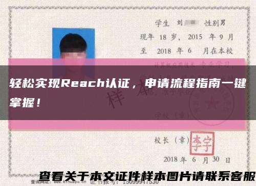 轻松实现Reach认证，申请流程指南一键掌握！缩略图