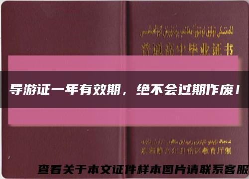 导游证一年有效期，绝不会过期作废！缩略图