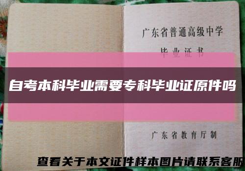 自考本科毕业需要专科毕业证原件吗缩略图