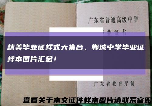 精美毕业证样式大集合，郸城中学毕业证样本图片汇总！缩略图