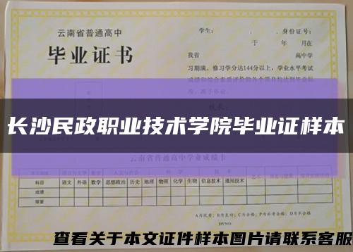 长沙民政职业技术学院毕业证样本缩略图