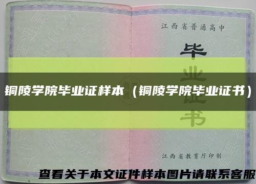 铜陵学院毕业证样本（铜陵学院毕业证书）缩略图