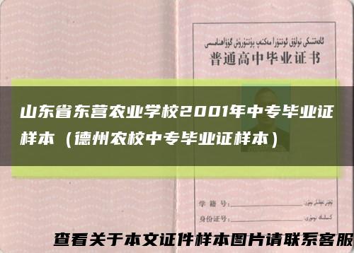 山东省东营农业学校2001年中专毕业证样本（德州农校中专毕业证样本）缩略图