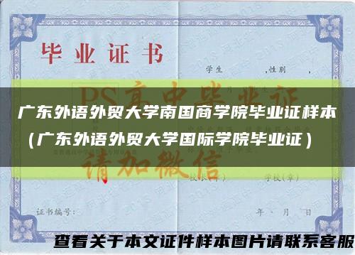 广东外语外贸大学南国商学院毕业证样本（广东外语外贸大学国际学院毕业证）缩略图