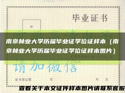 南京林业大学历届毕业证学位证样本（南京林业大学历届毕业证学位证样本图片）缩略图