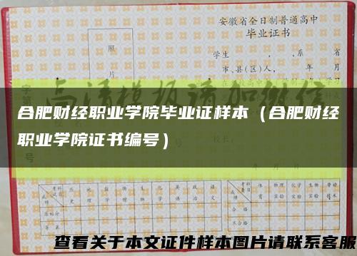 合肥财经职业学院毕业证样本（合肥财经职业学院证书编号）缩略图