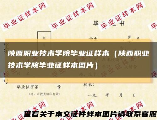 陕西职业技术学院毕业证样本（陕西职业技术学院毕业证样本图片）缩略图