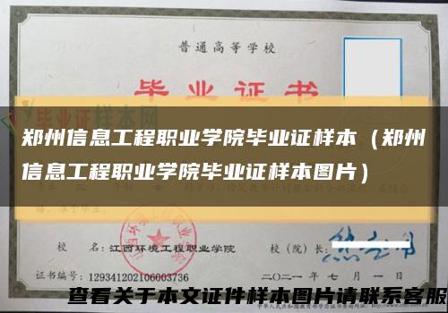 郑州信息工程职业学院毕业证样本（郑州信息工程职业学院毕业证样本图片）缩略图