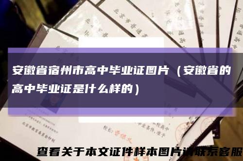 安徽省宿州市高中毕业证图片（安徽省的高中毕业证是什么样的）缩略图