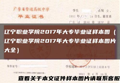 辽宁职业学院2017年大专毕业证样本图（辽宁职业学院2017年大专毕业证样本图片大全）缩略图