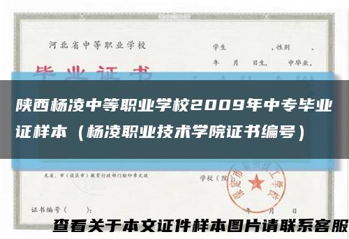 陕西杨凌中等职业学校2009年中专毕业证样本（杨凌职业技术学院证书编号）缩略图