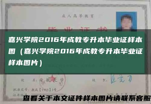 嘉兴学院2016年成教专升本毕业证样本图（嘉兴学院2016年成教专升本毕业证样本图片）缩略图