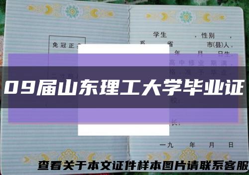 09届山东理工大学毕业证缩略图