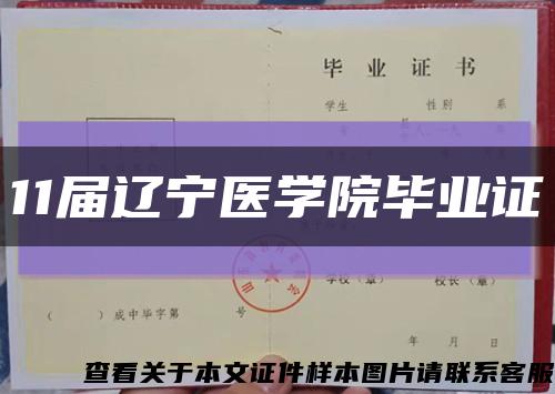 11届辽宁医学院毕业证缩略图