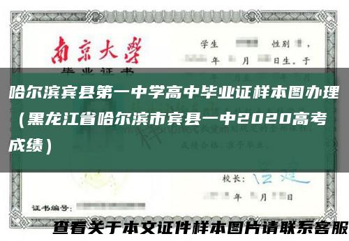 哈尔滨宾县第一中学高中毕业证样本图办理（黑龙江省哈尔滨市宾县一中2020高考成绩）缩略图