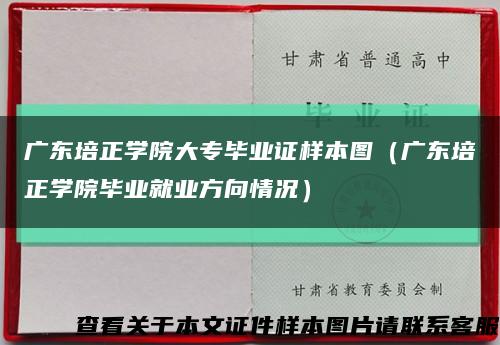 广东培正学院大专毕业证样本图（广东培正学院毕业就业方向情况）缩略图