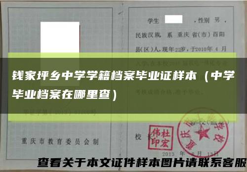 钱家坪乡中学学籍档案毕业证样本（中学毕业档案在哪里查）缩略图