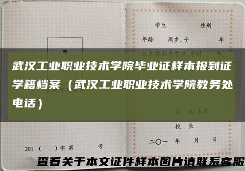 武汉工业职业技术学院毕业证样本报到证学籍档案（武汉工业职业技术学院教务处电话）缩略图