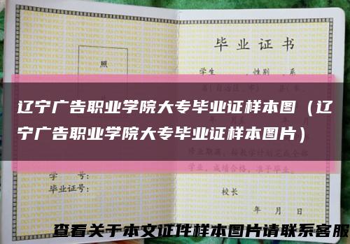 辽宁广告职业学院大专毕业证样本图（辽宁广告职业学院大专毕业证样本图片）缩略图