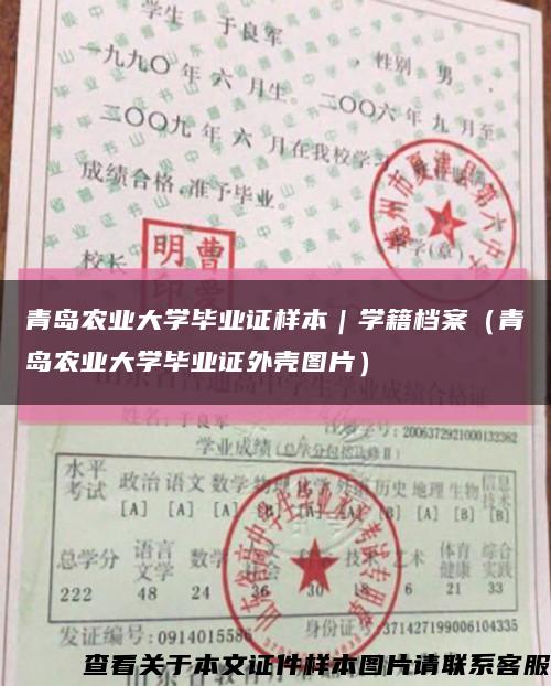 青岛农业大学毕业证样本｜学籍档案（青岛农业大学毕业证外壳图片）缩略图