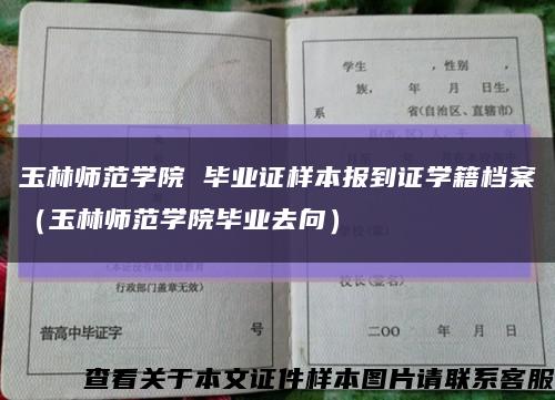 玉林师范学院 毕业证样本报到证学籍档案（玉林师范学院毕业去向）缩略图