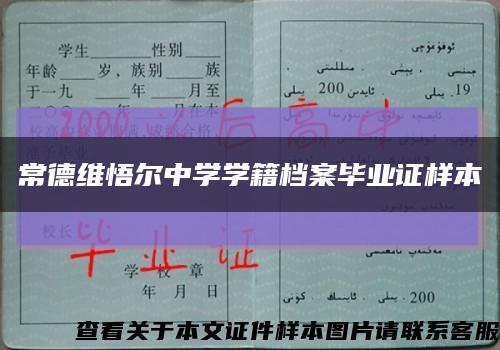 常德维悟尔中学学籍档案毕业证样本缩略图