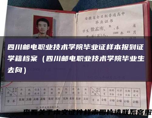 四川邮电职业技术学院毕业证样本报到证学籍档案（四川邮电职业技术学院毕业生去向）缩略图