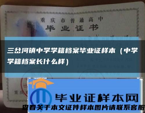 三岔河镇中学学籍档案毕业证样本（中学学籍档案长什么样）缩略图