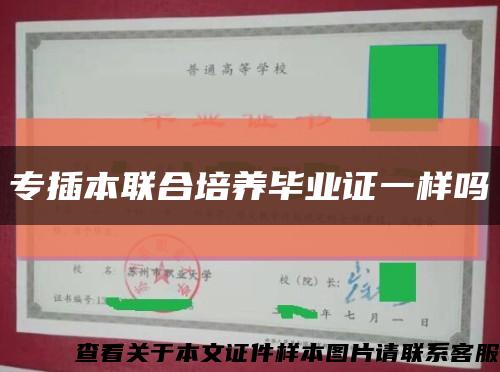 专插本联合培养毕业证一样吗缩略图