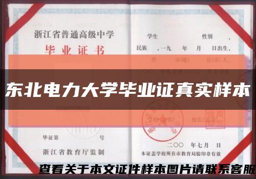 东北电力大学毕业证真实样本缩略图